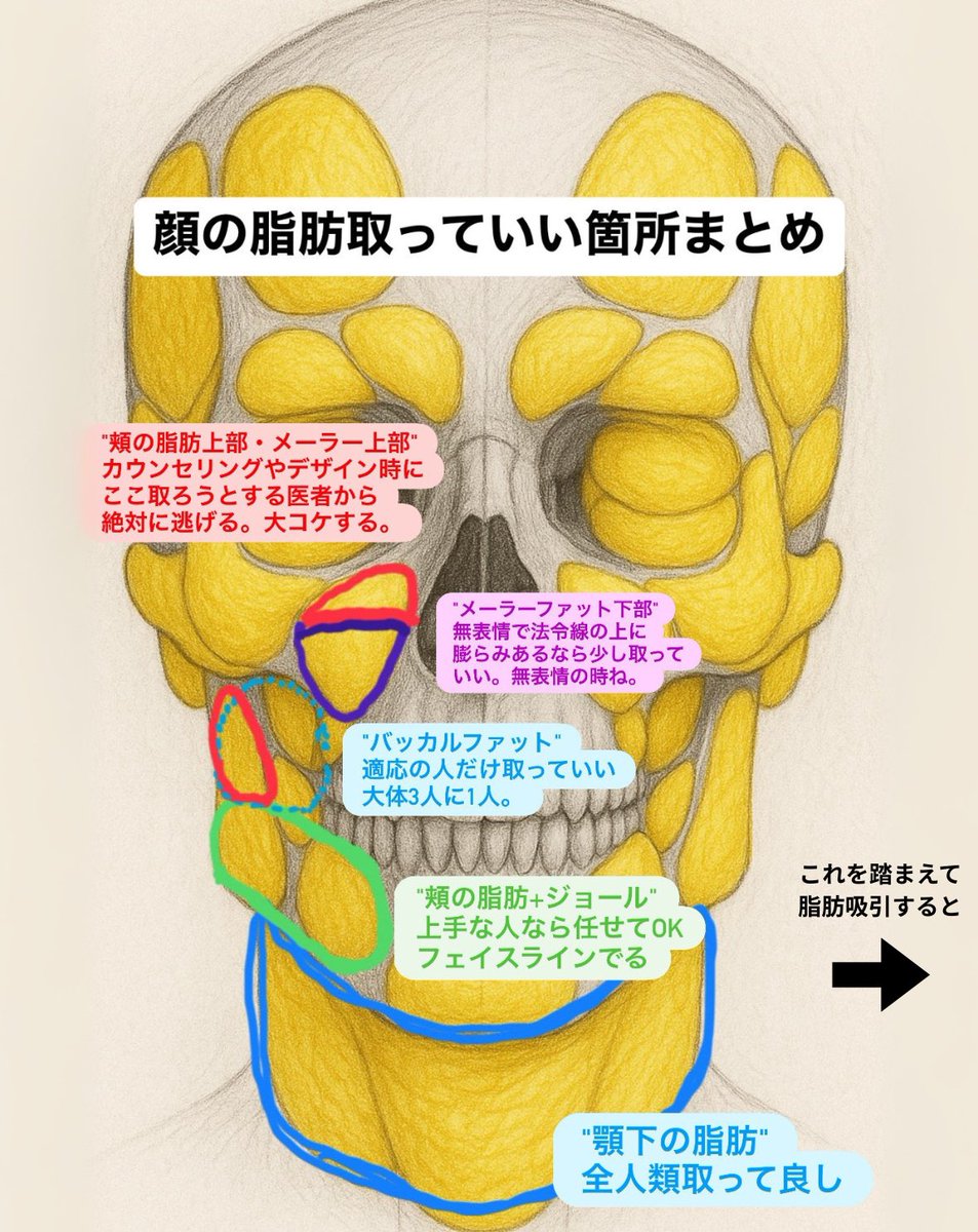 にゃんちゅう先生【脂肪吸引・脂肪吸引注射】青木　胤磨 tweet media