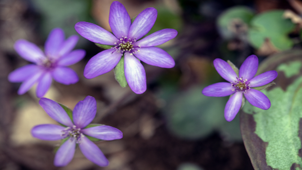 澤田末吉 tweet media