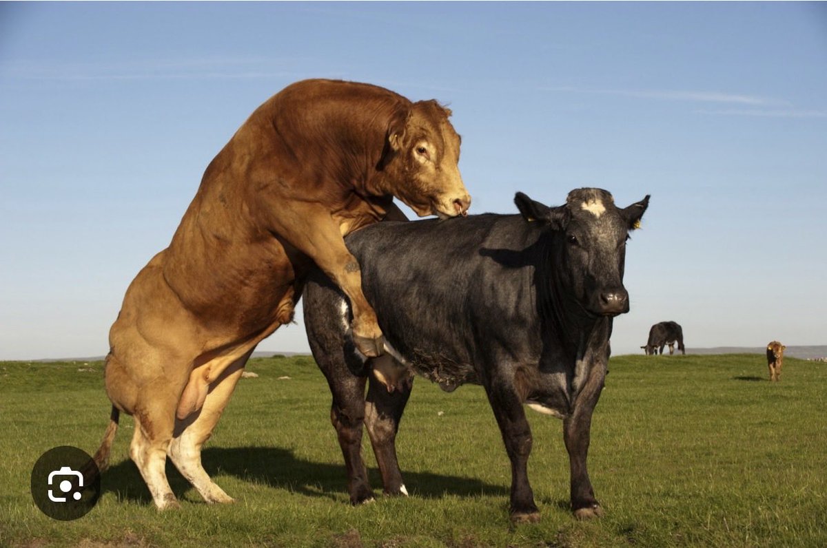 "Akarengane kuri wowe, Akarengane kuri twese". tweet media