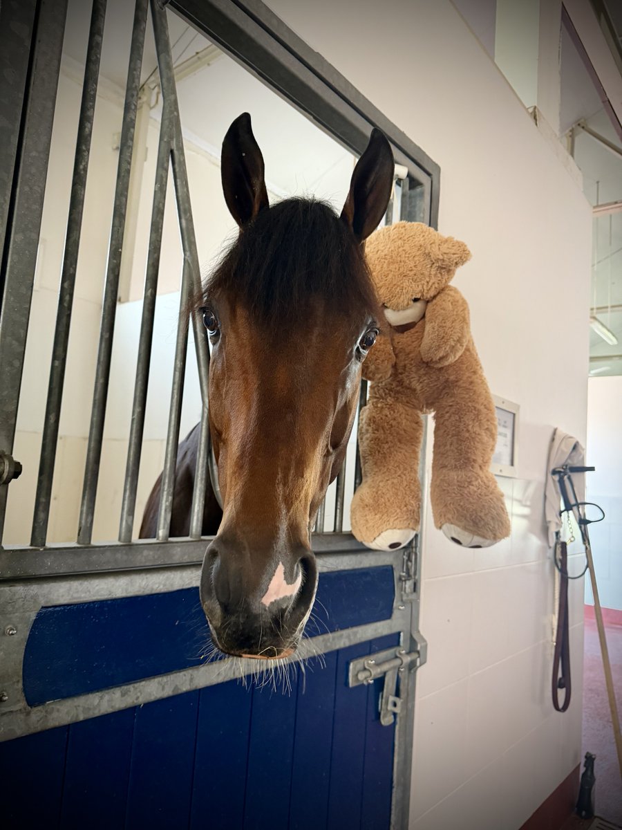 Dubai Racing Club tweet media