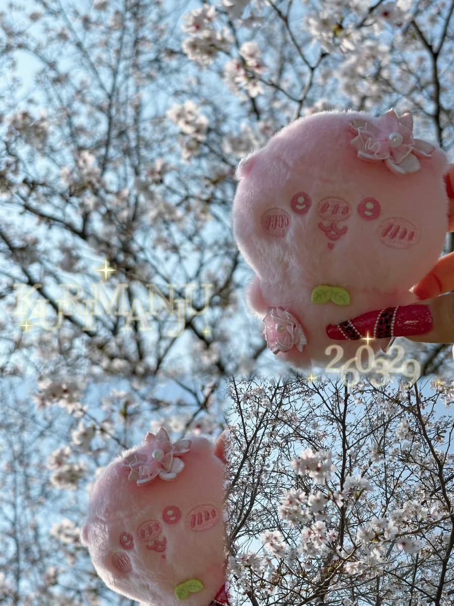 めんま tweet media