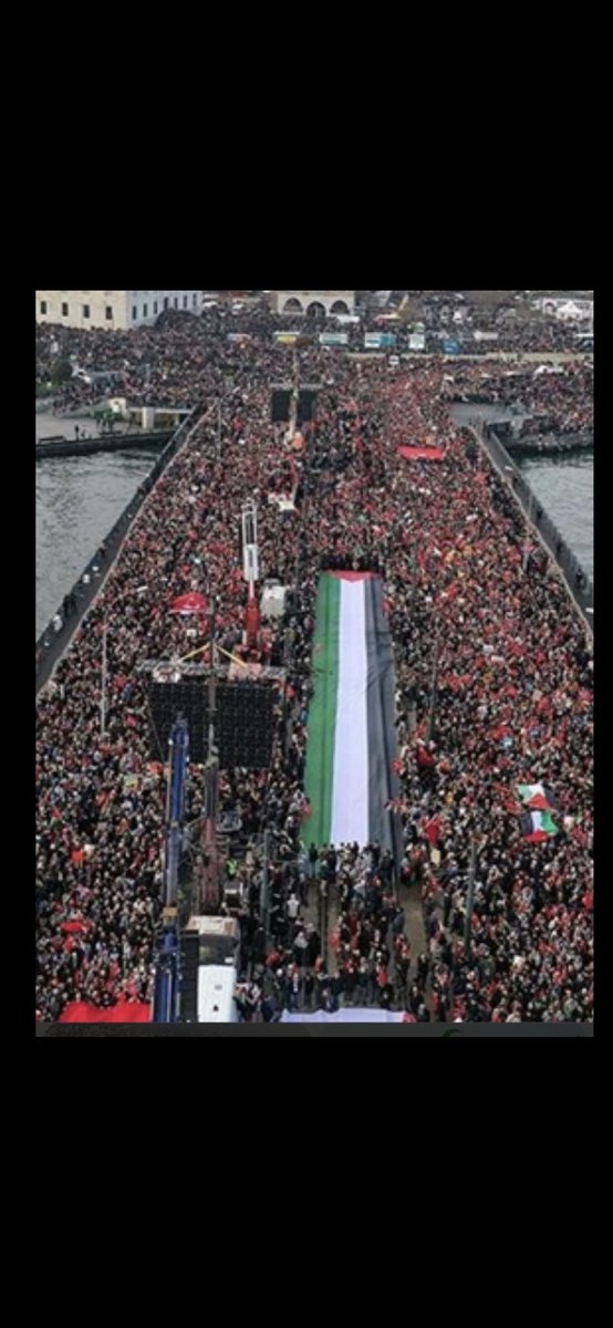 Vatan761's tweet photo. 🔴⭐️🌙 istanbul / Galata köprüsü #Filistine destek  #mitingi : Hani müslüman müslümanin kardeşiydi? 
🔴 Bu köprüde : #uygur Türkleri icin 
#irak Türkmenleri
#Suriye Türkmenleri icin miting yapilmadi
#iran için miting yapilmadi
Biz boşuna bunlara, siyasal islamci makarnaci demiyoz https://t.co/ZbZr7ILgPj