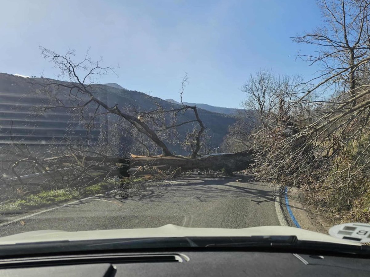 Gori Masip tweet media