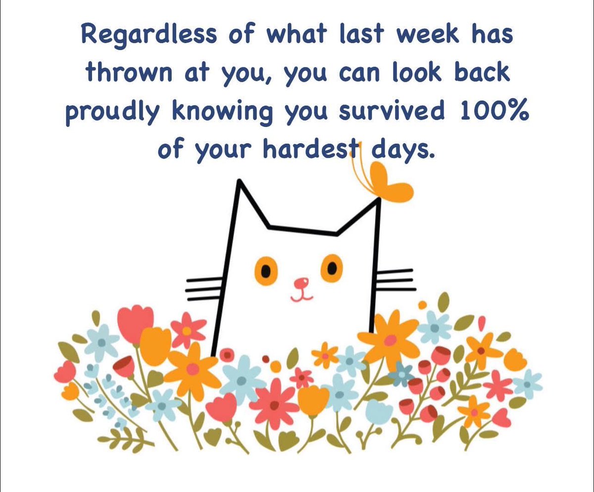 Kinship Carers UK tweet media