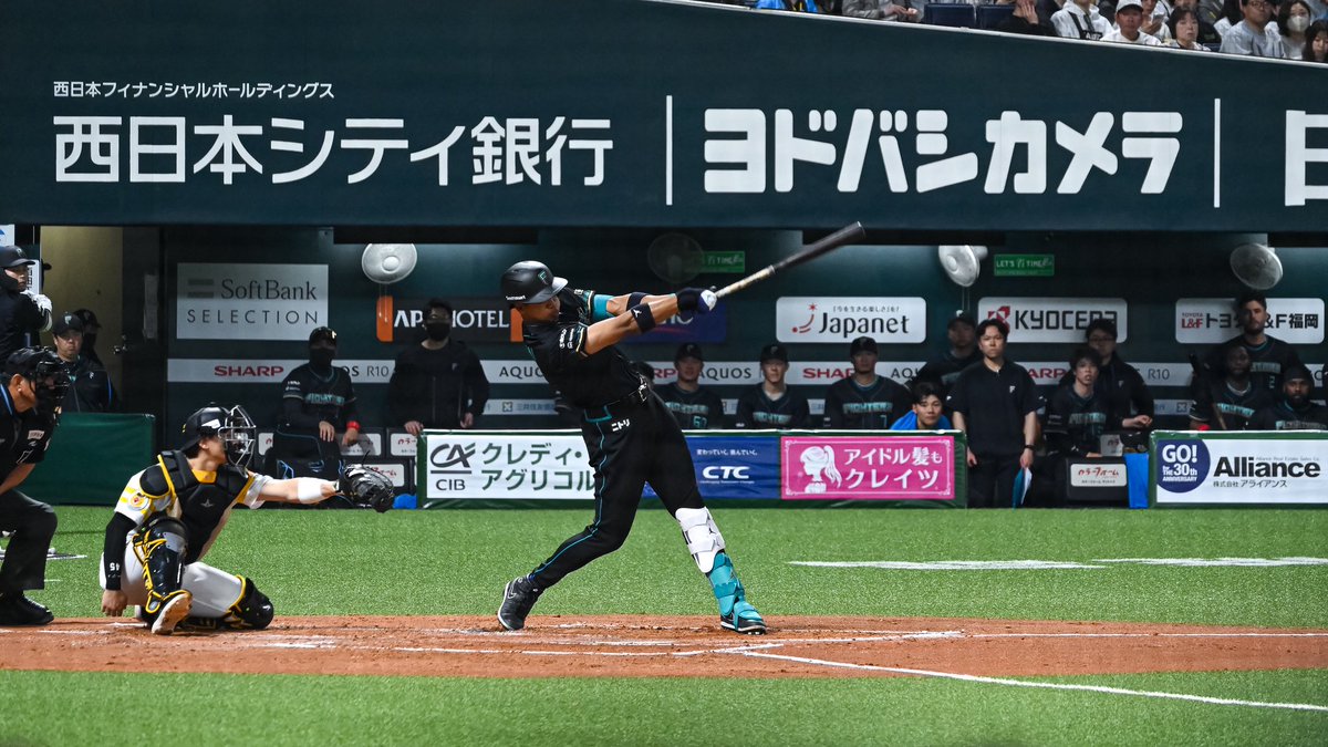 ﾔﾏﾌｫﾄ tweet media