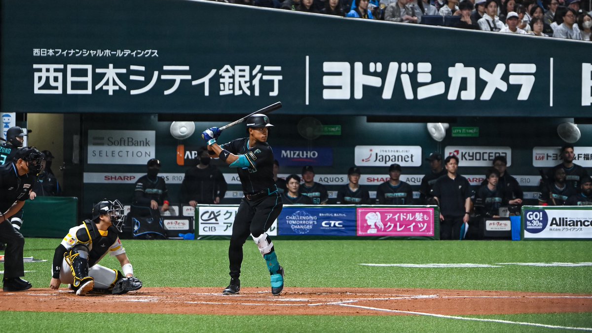 ﾔﾏﾌｫﾄ tweet media