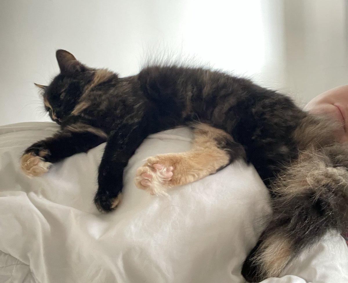 стерпна_легкість 🇺🇦 tweet media