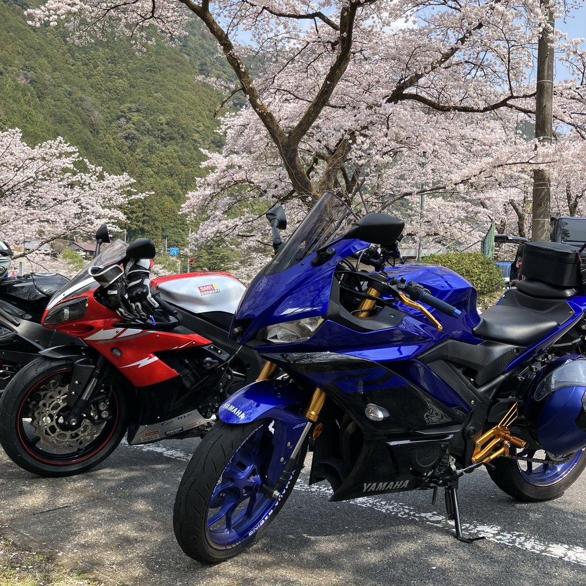 tasanKoToM's tweet photo. 奈良県吉野🌸きなりの郷💕
#ツーリング https://t.co/uftYShbYsI