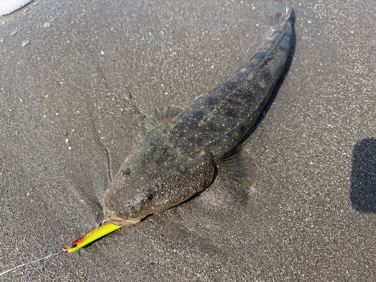 フラットフィッシュアングラー@𝒀𝑼𝑲𝑰 tweet media