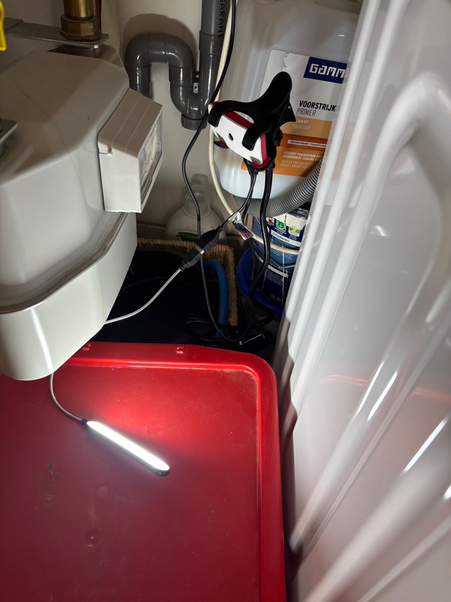 женщина с ложноножками tweet media