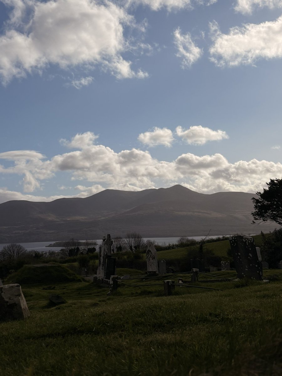 Cian O'Maoltuile 💛 tweet media