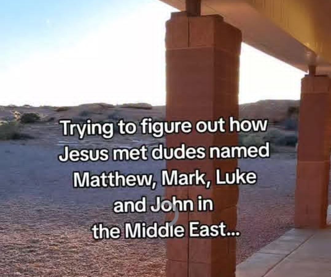 Tina Zimmermann tweet media