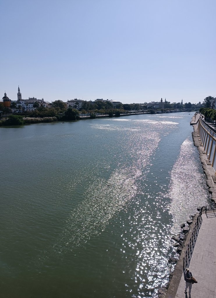 Jujo🌿 tweet media