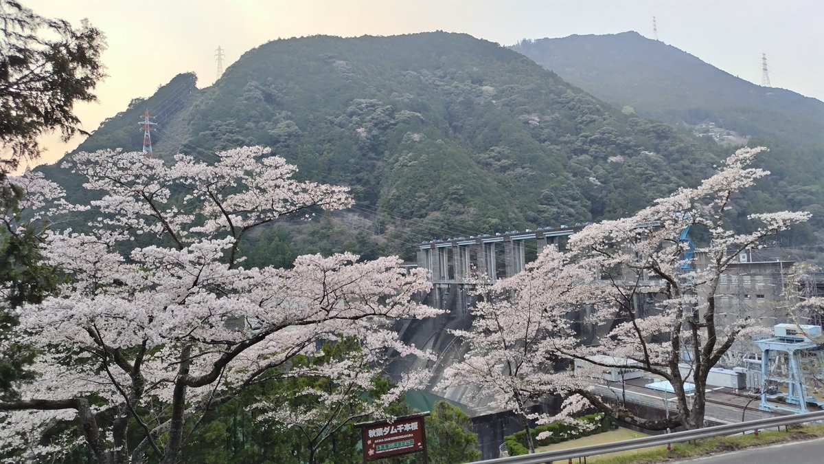 かずあ tweet media