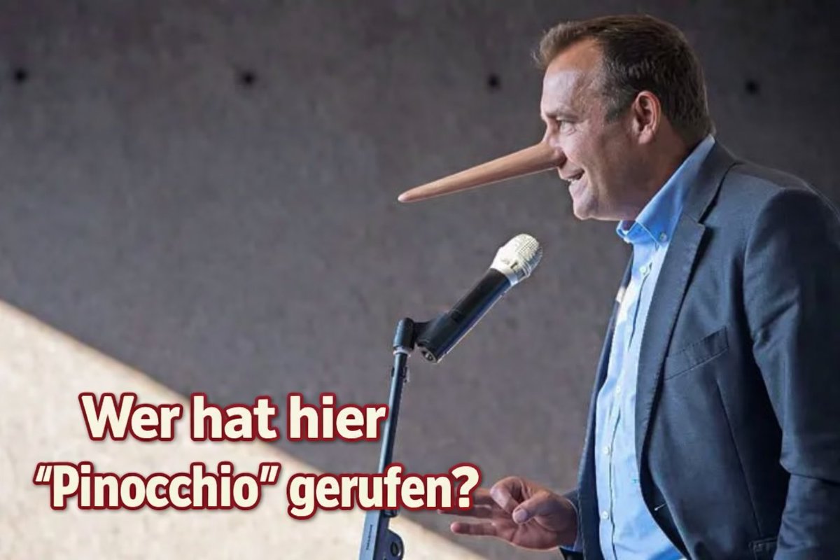 catawompus 📯🎸🪕 tweet media