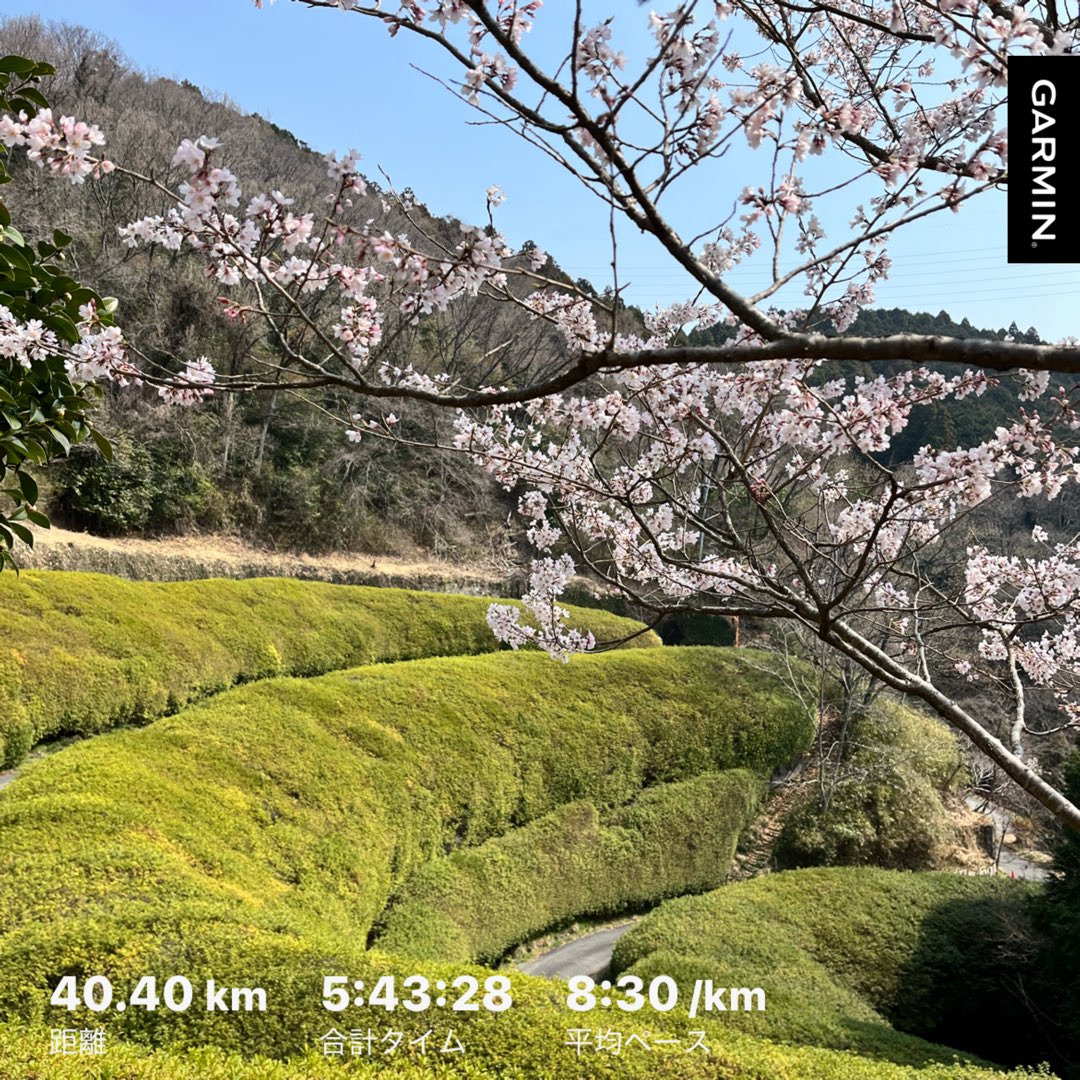 えちゅこ🌻👟NExt…100奥熊野100奈良 tweet media