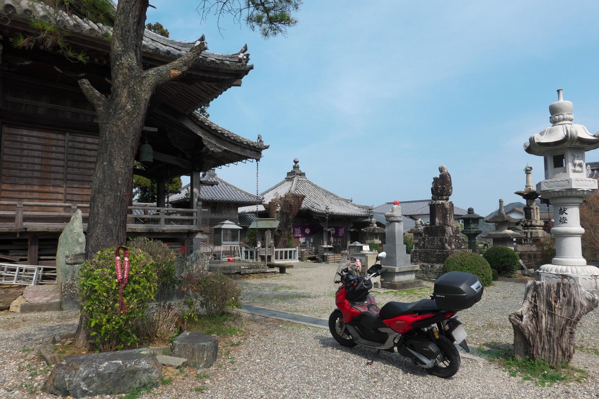 がんちゃん(💉FFMMFF) tweet media