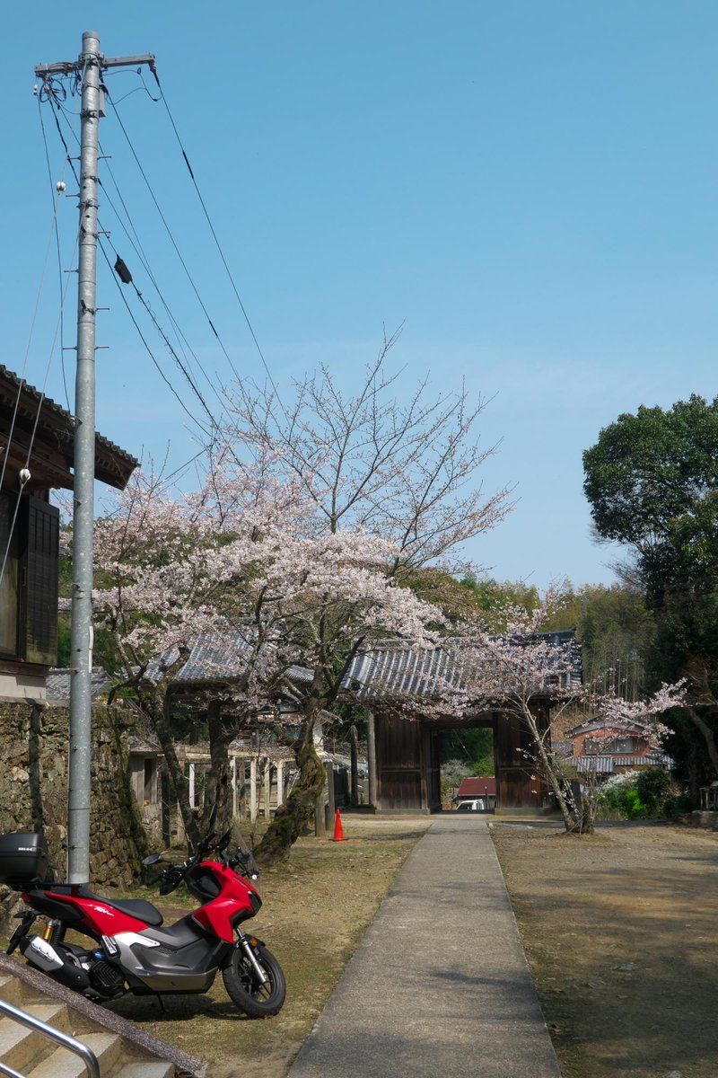 がんちゃん(💉FFMMFF) tweet media