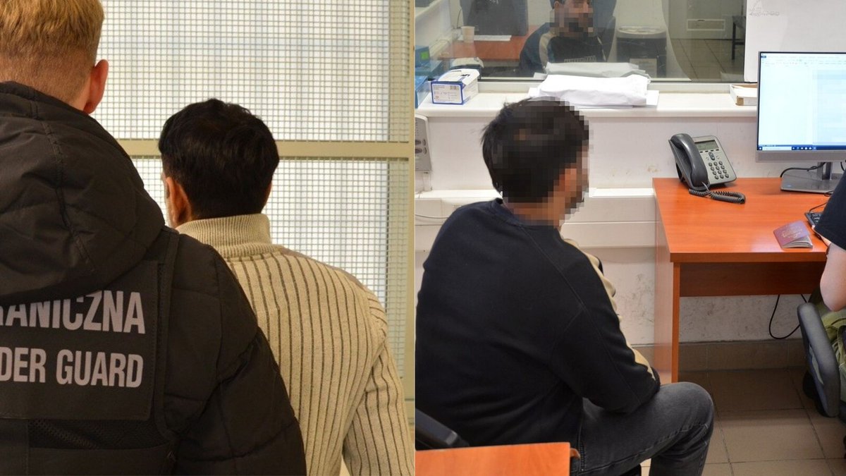 Adam Gwiazda tweet media