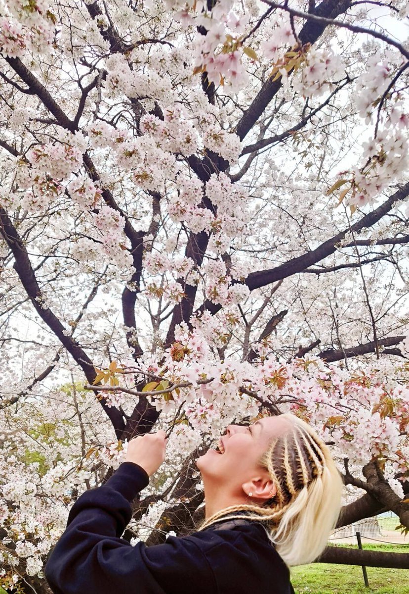 満開満開😊
今年もしっかり桜さん堪能しました🌸
今日は配信したいと思ってる！
頑張る！