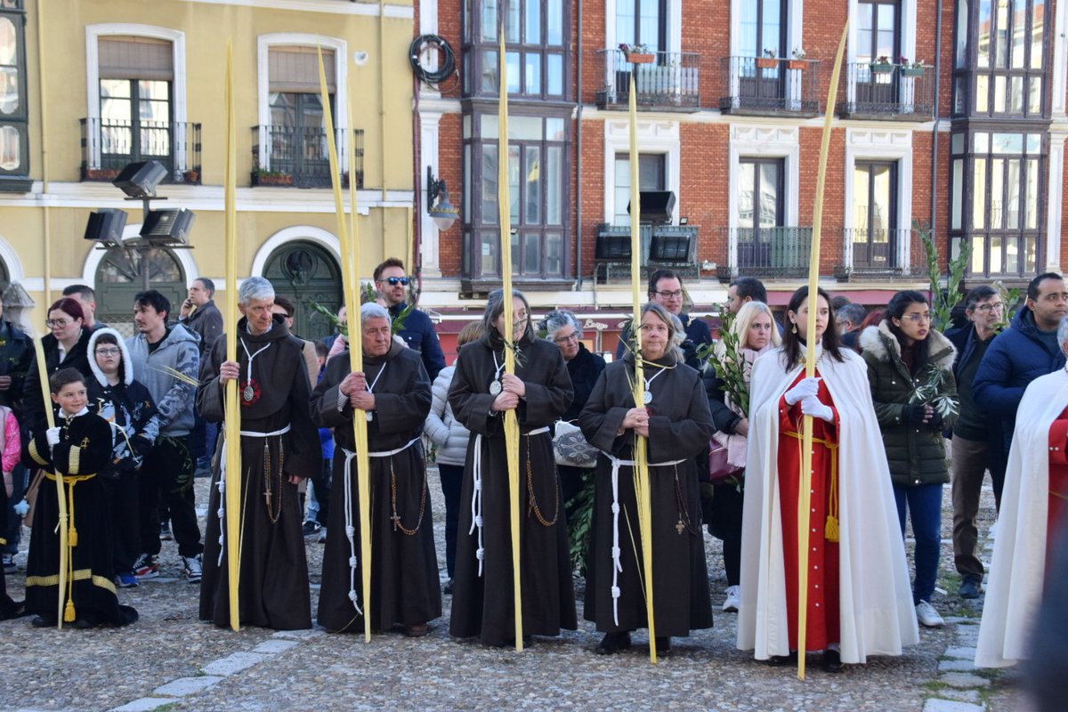 Junta de Cofradías de Semana Santa tweet media