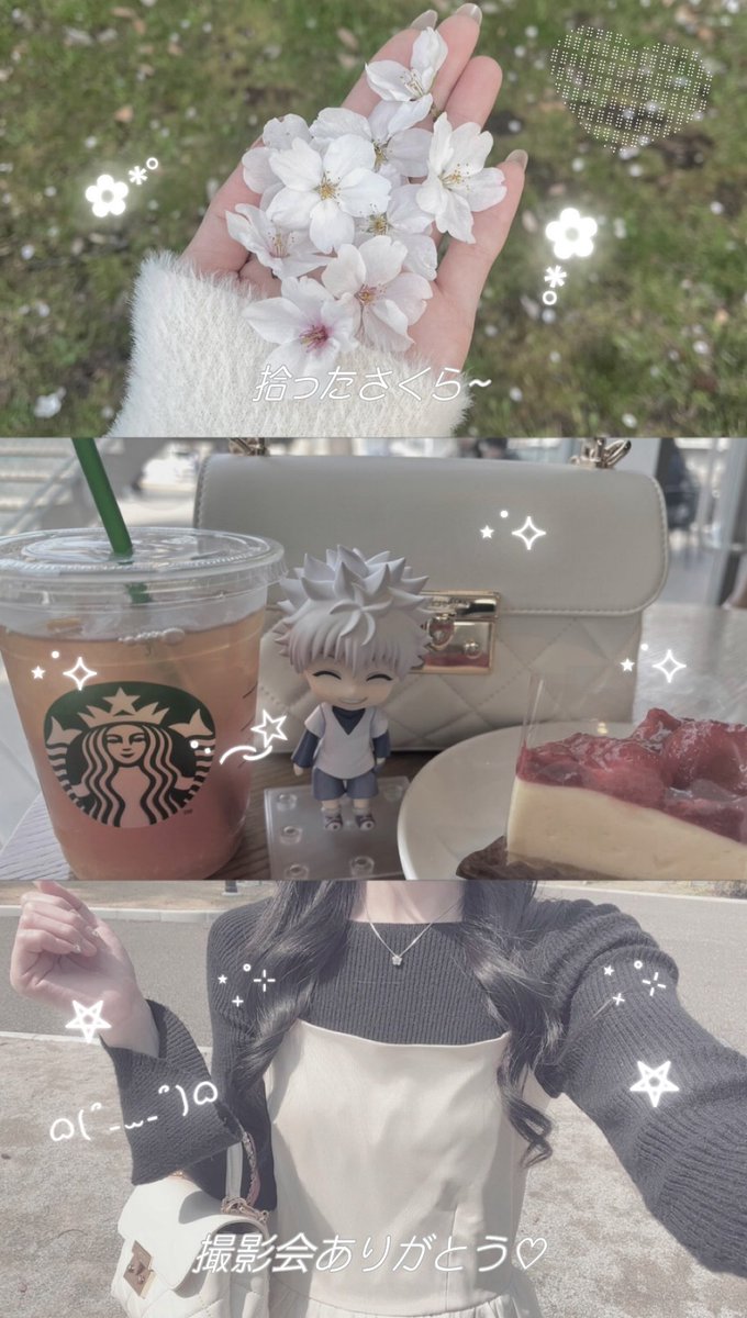 桜木うい tweet media