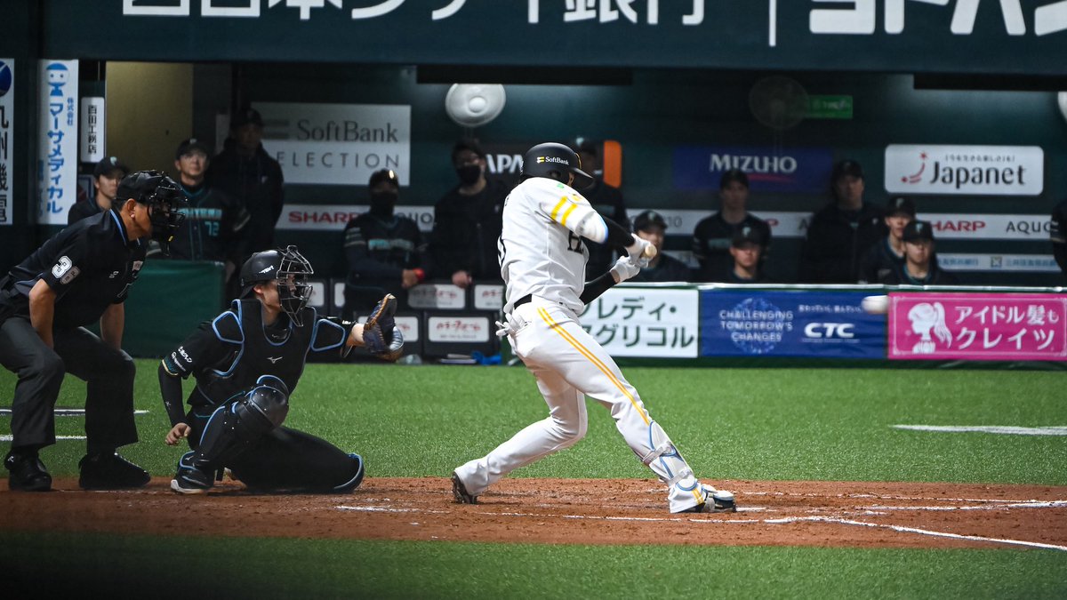 ﾔﾏﾌｫﾄ tweet media