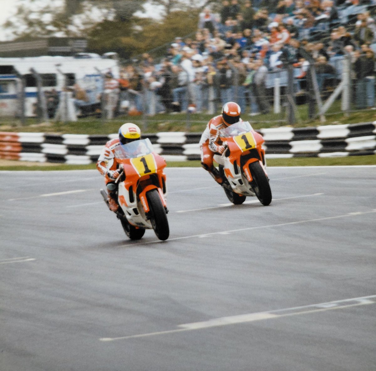 Tim Barker tweet media