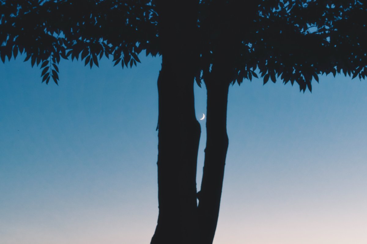 髙橋大翔 tweet media