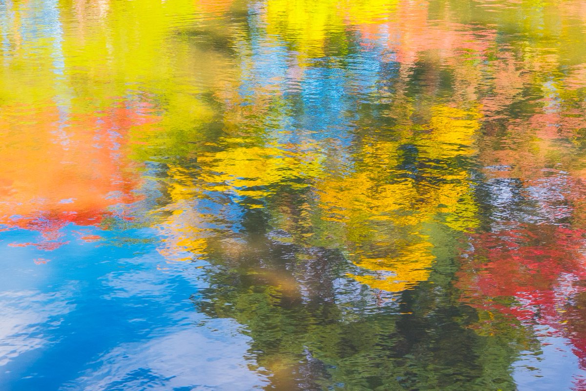 髙橋大翔 tweet media