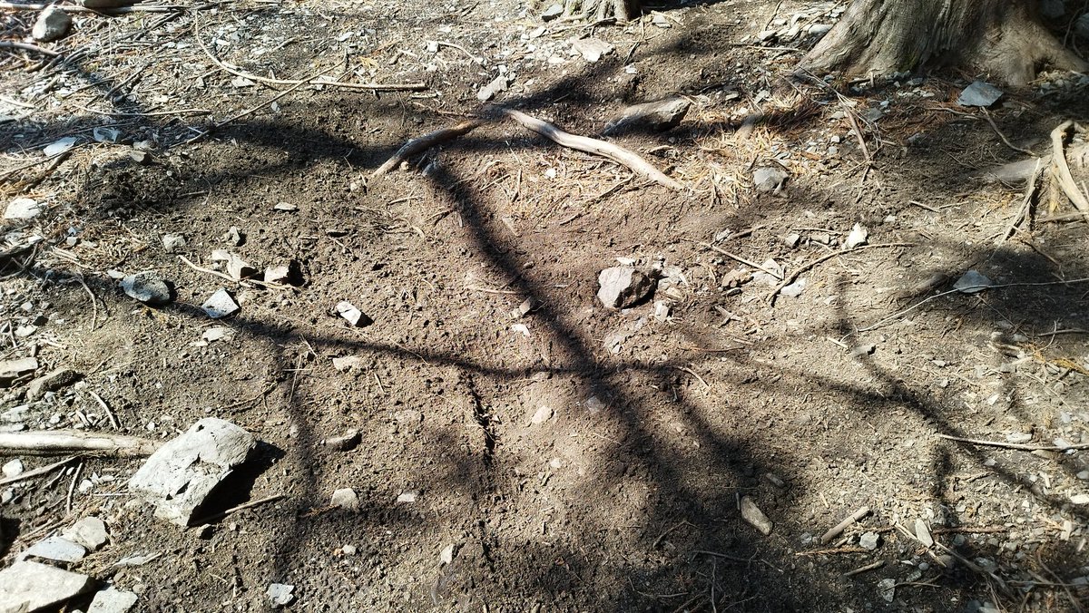 Rebic Channel tweet media