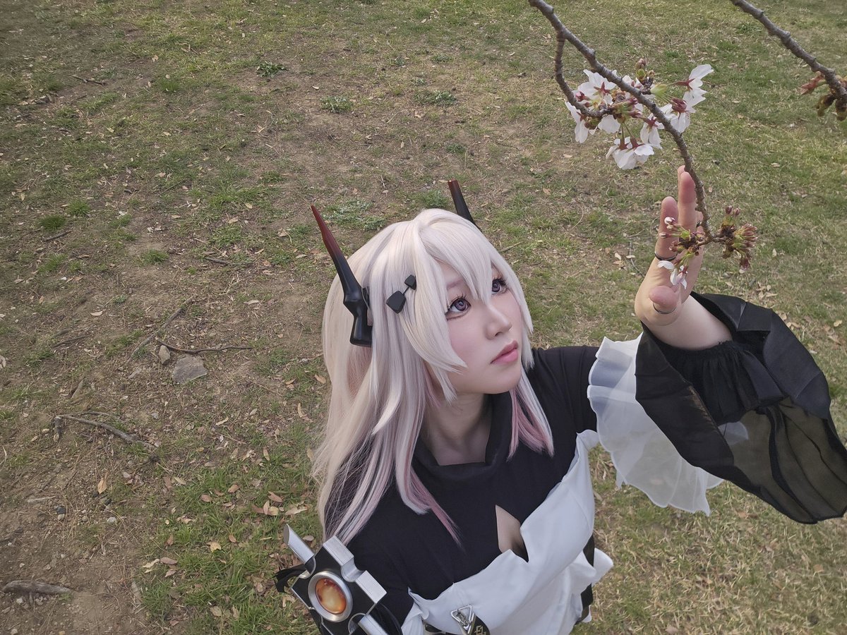 ๋ค๋์ด๐ tweet media