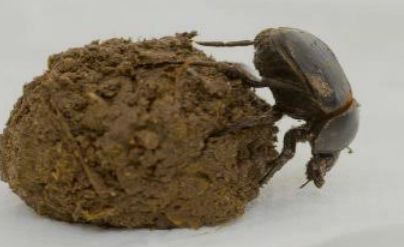 Special One 🇿🇦 tweet media