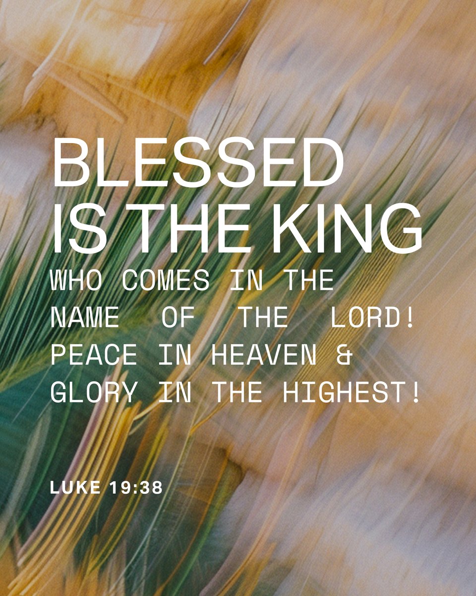 YouVersion Bible App tweet media