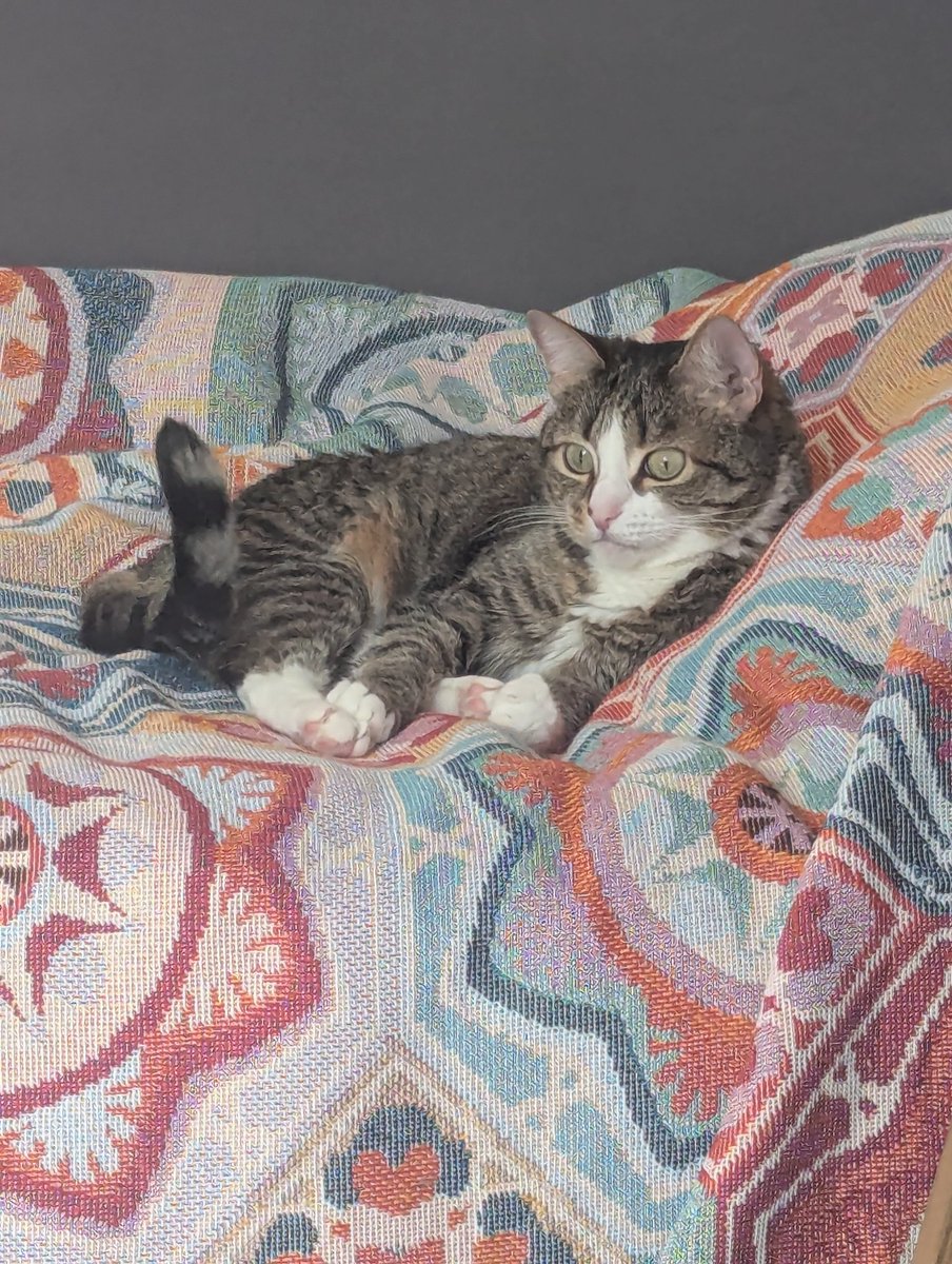 Annushka_Smaslom tweet media