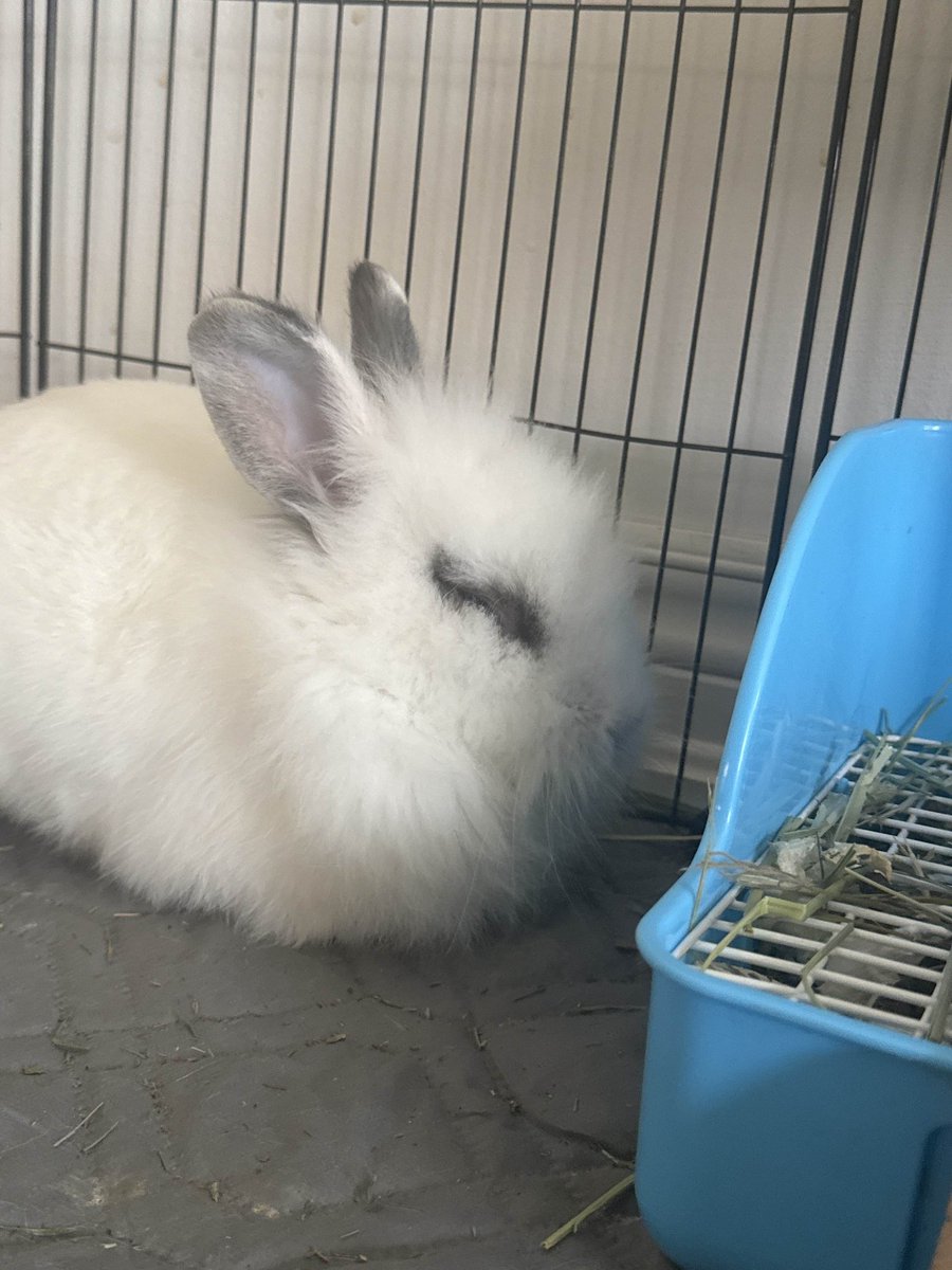 ||🌤🌱||㇄闩乙ㄚᗪ闩ㄚ丂||Toka's No.1 Fan|| #YUTA KAISEN tweet media