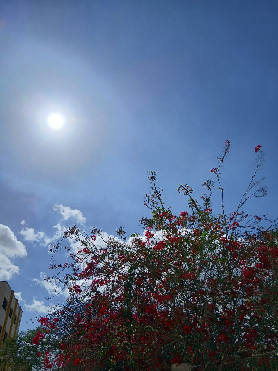 عُمَر tweet media