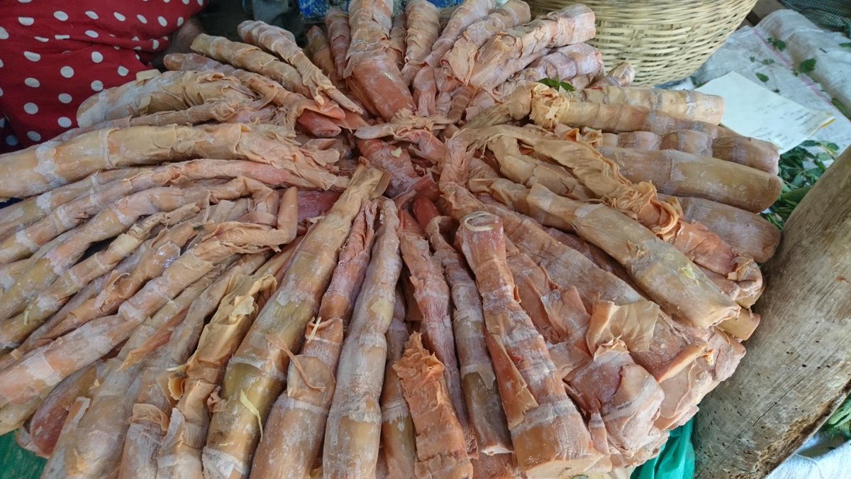 fluglehrer_neu's tweet image. 290319 #bagan #archiv