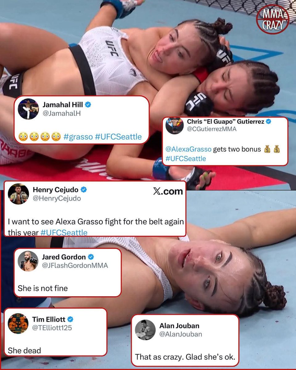 TOLOLOGY tweet media