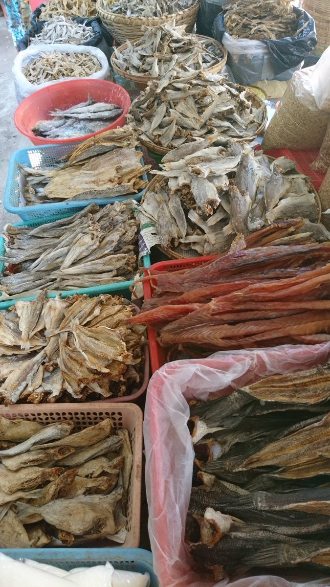 fluglehrer_neu's tweet image. 290319 #bagan #archiv
