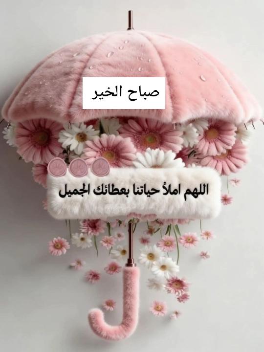 أحمد نوار tweet media