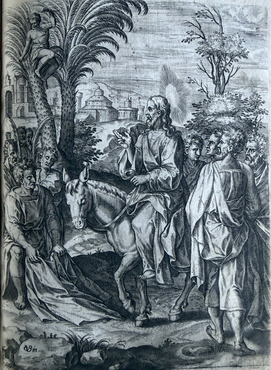 Susana Bardón tweet media