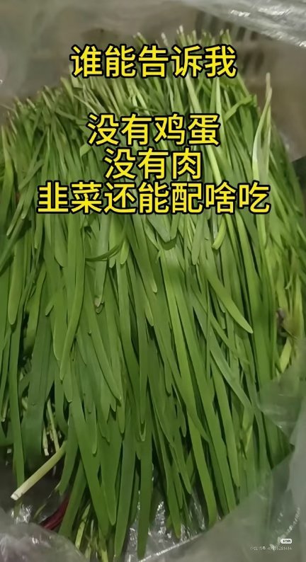 荔枝Q甜(互fo) tweet media