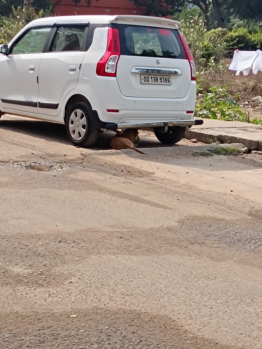 JAYANTA KUMAR DAS tweet media