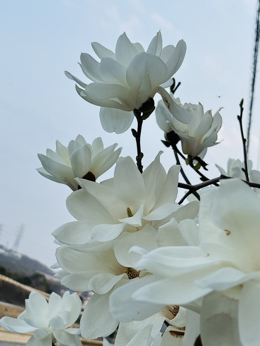 センム tweet media