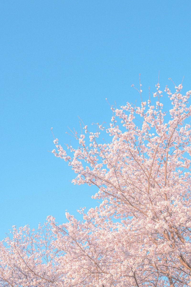 ノア | 𝘕𝘰𝘢𝘩 tweet media