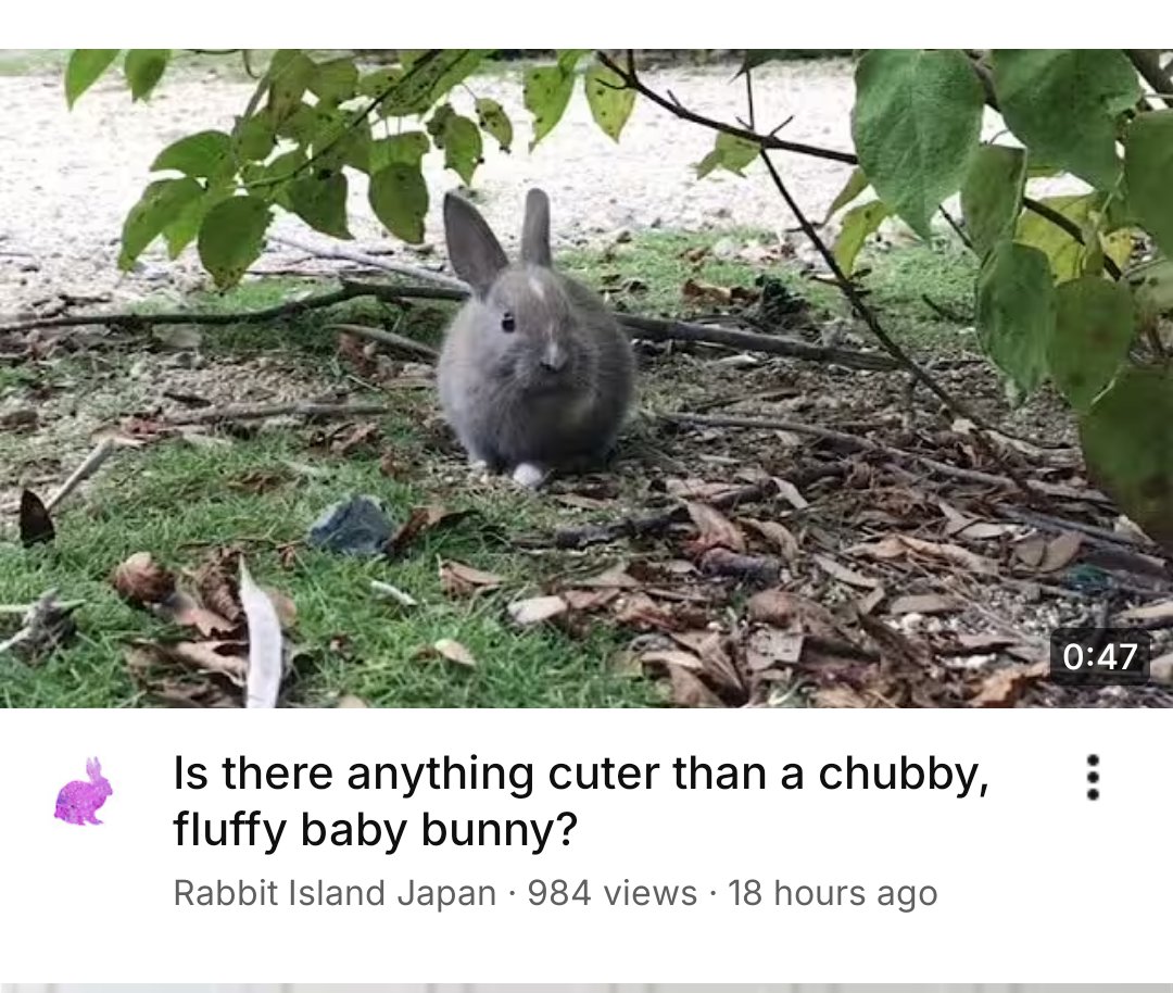 angelbun ૮ ˶ᵔ ᵕ ᵔ˶ ა Θ∆ 🏳️⚧️ tweet media