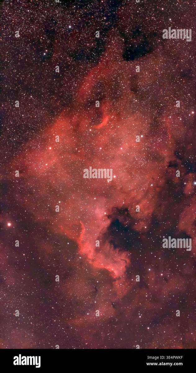 Malcolm Park tweet media