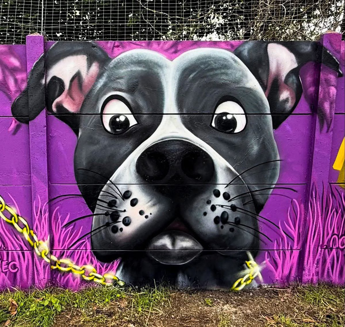 Pınar Pınarcık tweet media