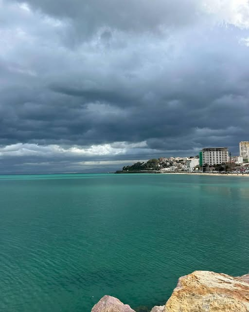 🇩🇿صبا ركان tweet media